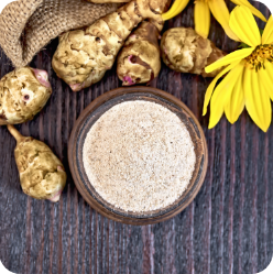 Jerusalem Artichoke powder