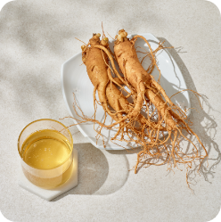 ginseng root and tea